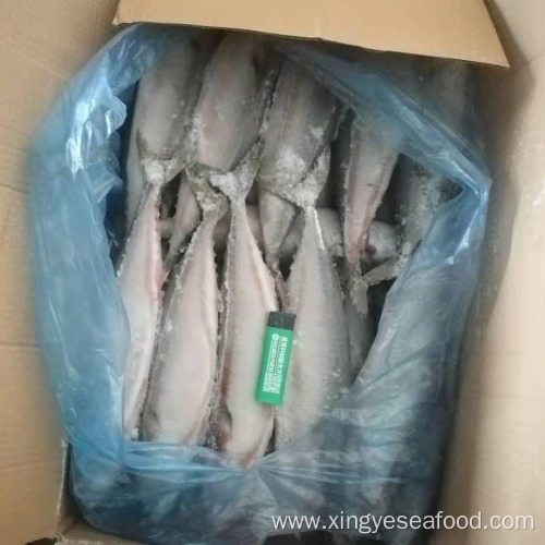 Frozen Mackerel Whole Round 400-500 Scomber Japonicus